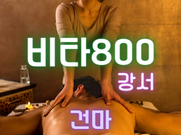 강서-비타800(건마)